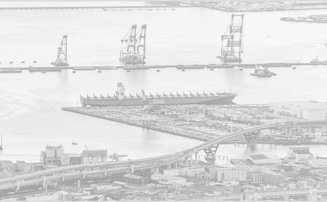 第五篇：失落经济下的全民出海潮